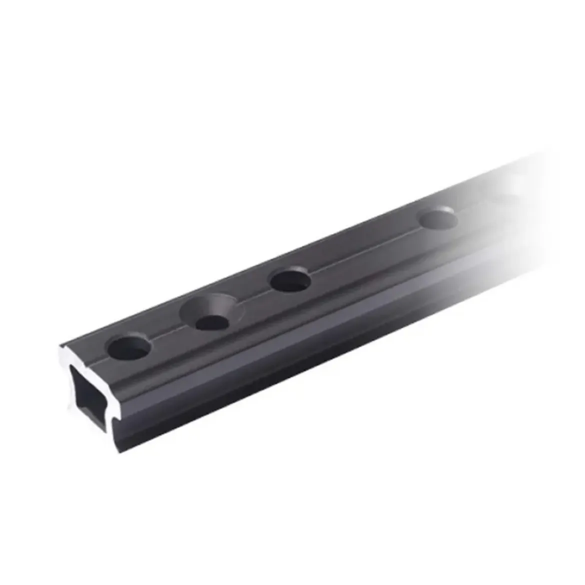 Picture of Hard black anodized 4Race track, 31x21, Life rail system